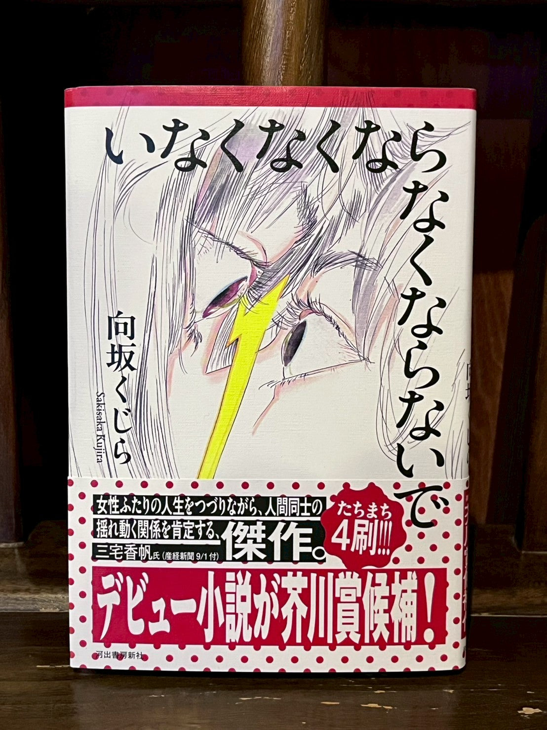 いなくなくならなくならないで/向坂くじら