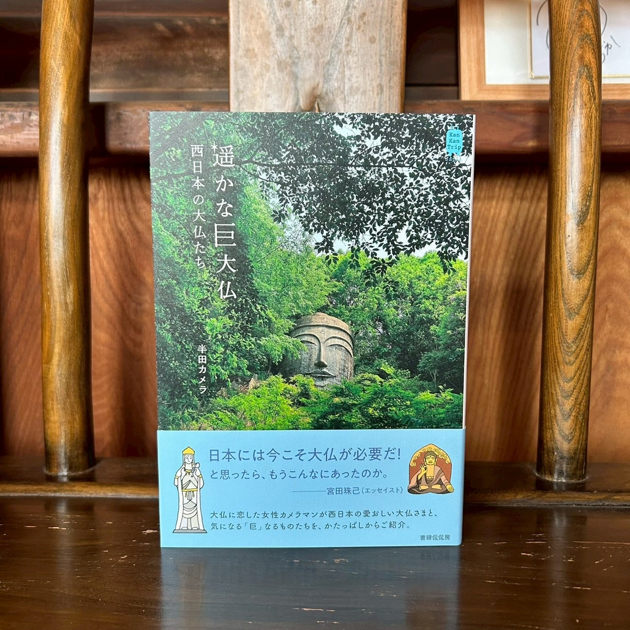 遥かな巨大仏西日本の大仏たち/半田カメラ