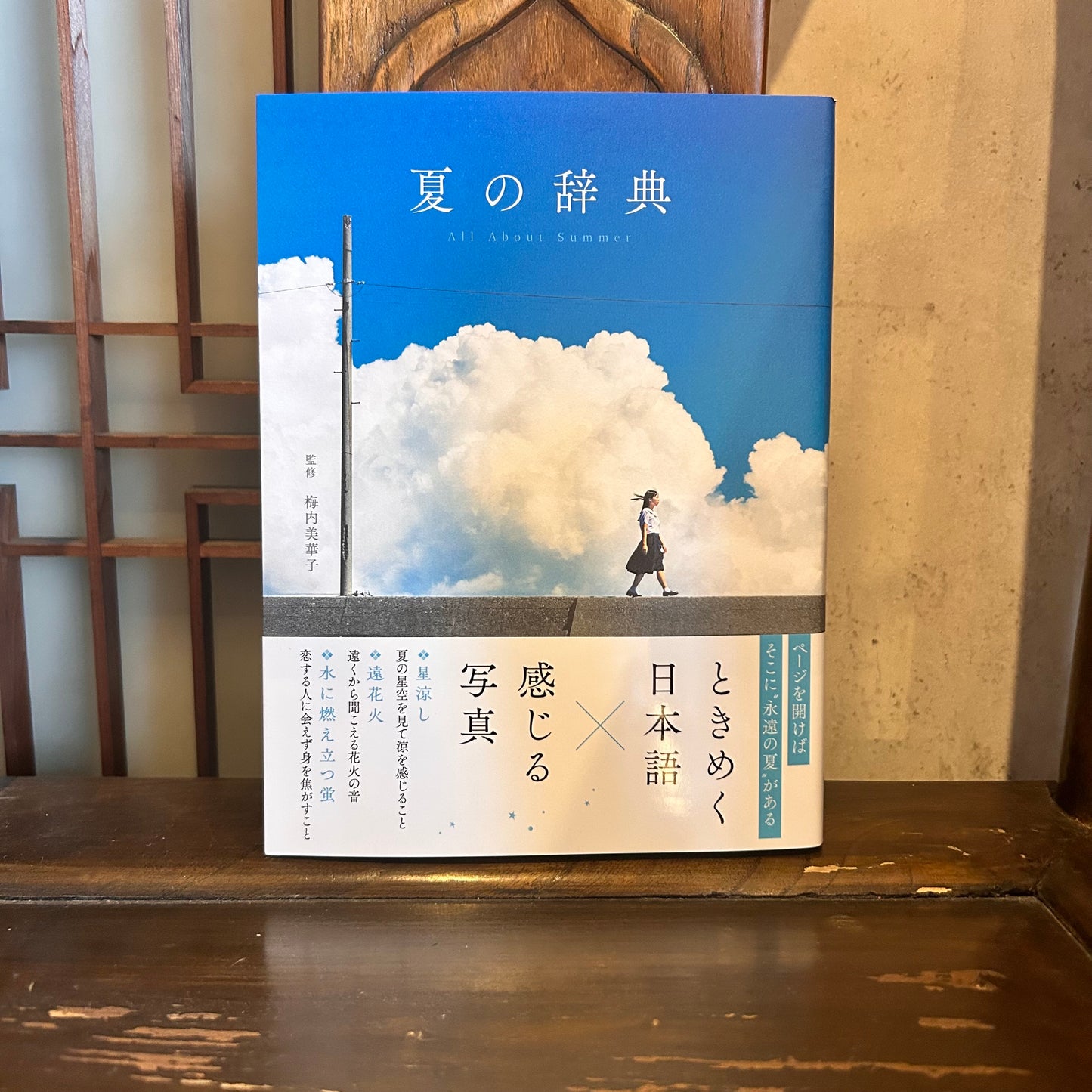 夏の辞典/梅内美華子