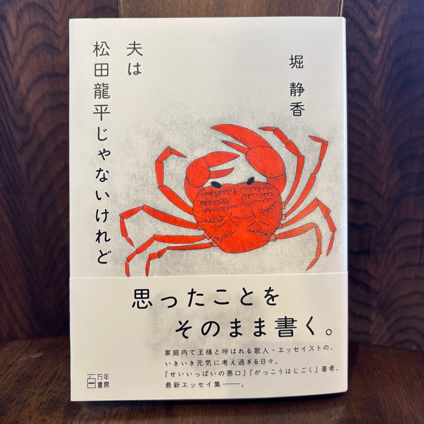 夫は松田龍平じゃないけれど／堀静香