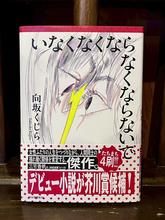 いなくなくならなくならないで／向坂くじら